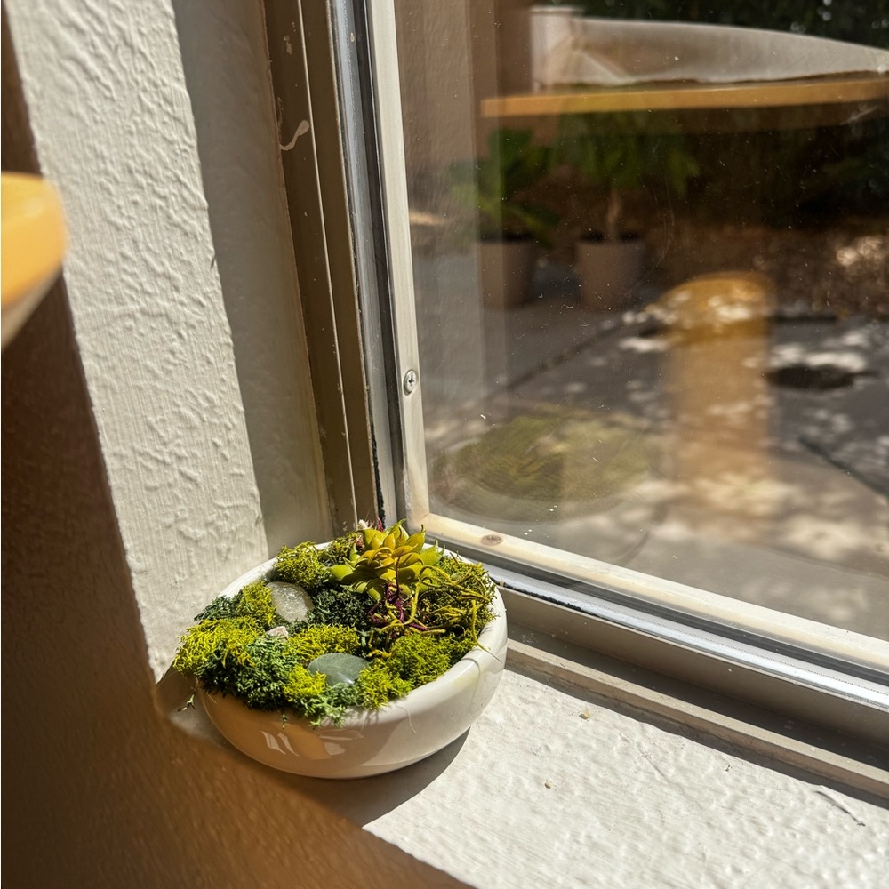 Handmade Moss Art Bowl | Fairy Garden Decor | Cottagecore Crystal Terrarium